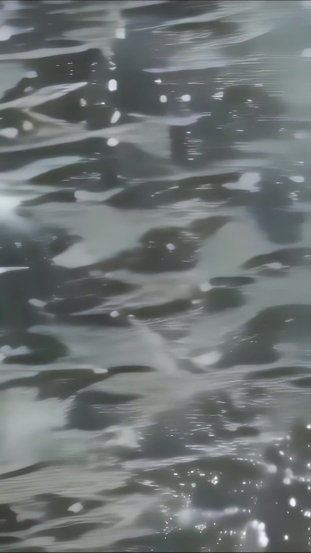 Alex Fischer &amp; Polymetis, In Situ, 2021, Harbin Charter, Harbin, China, video installation — 2021